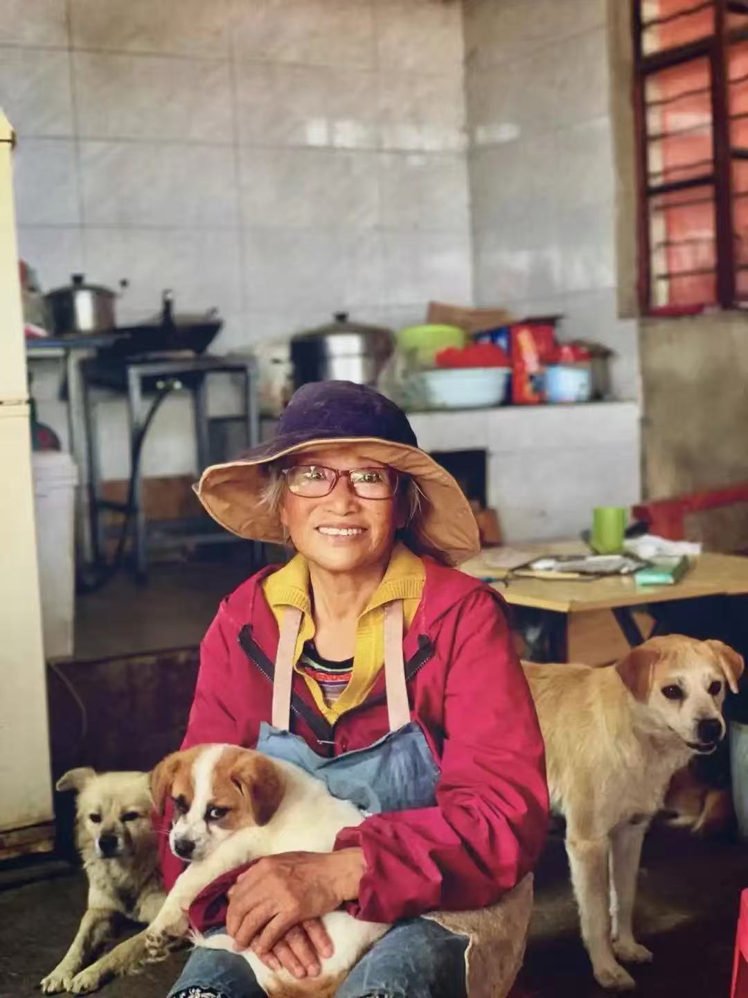 Every Dog Deserves a Home — No More Strays